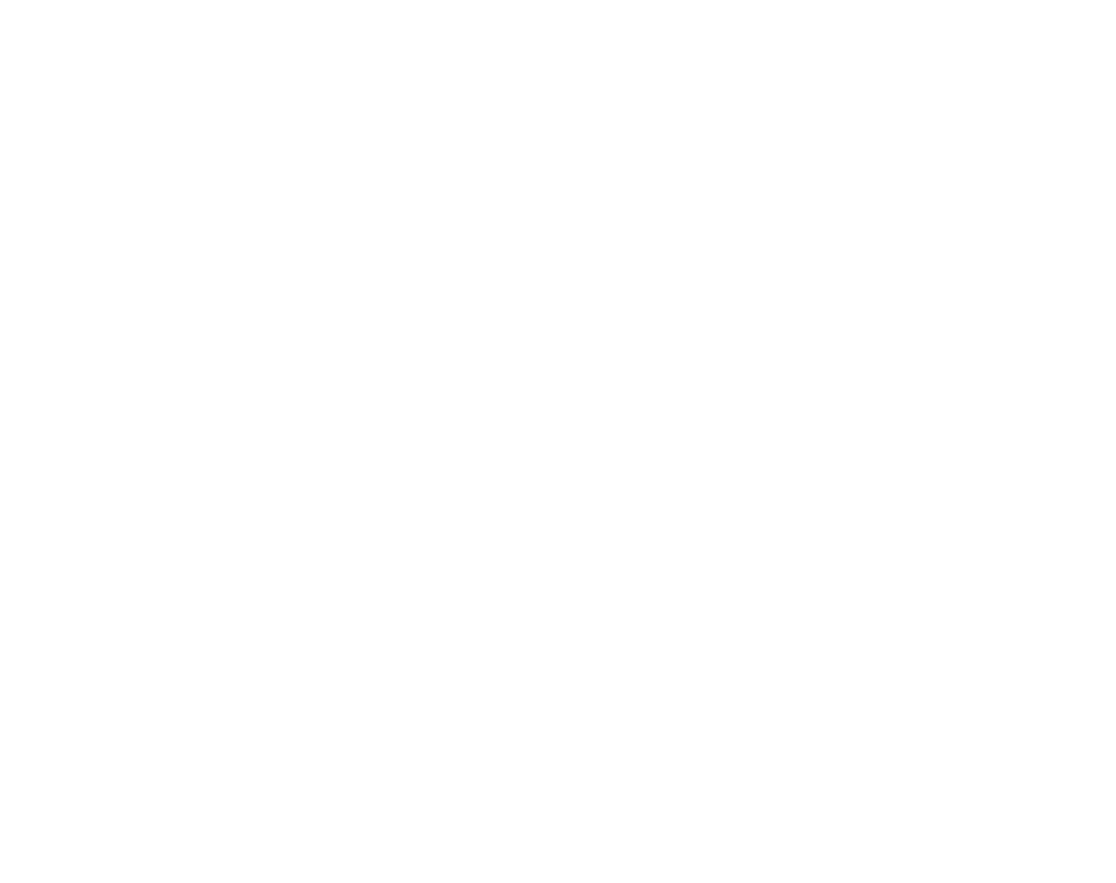 Aries Consulting Group